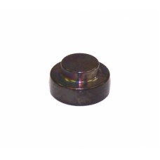 IWP Platinum Check Valve Inlet Poppet